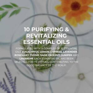 61b0MpGqbgL. AC SX679