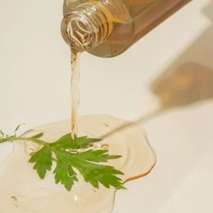 243236613 957699294810263 7827021257574720424 n