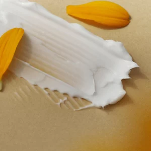 230917 1 ddbe1495 f5ec 45fd a2f8 531fdd24cdb0