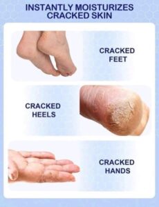 486555985 1200362028460458 3418980984038046412 n